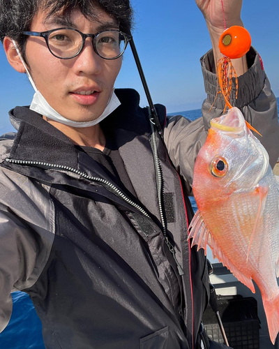 レンコダイの釣果