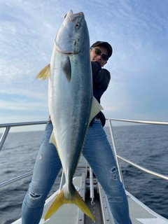 メジロの釣果