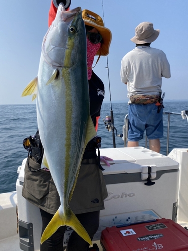 ヤズの釣果