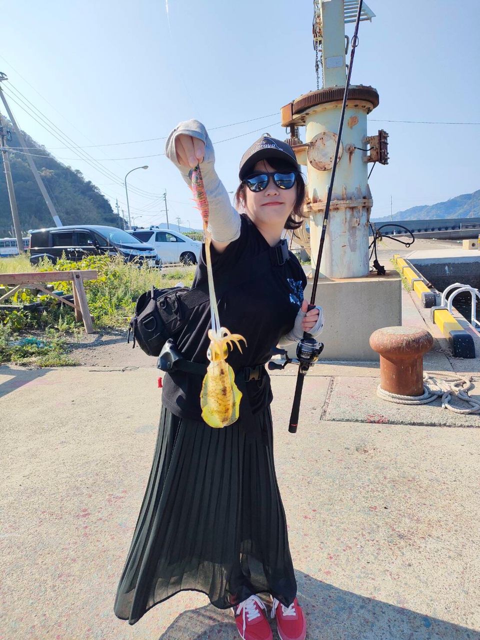 アオリイカ