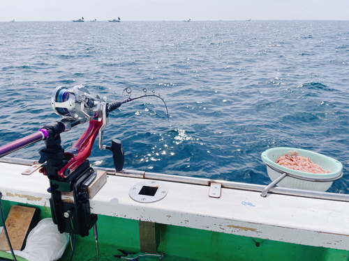 キハダマグロの釣果