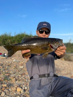 スモールマウスバスの釣果