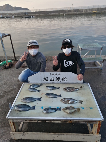 クチブトグレの釣果