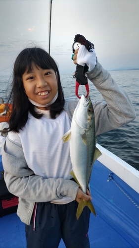 ツバスの釣果