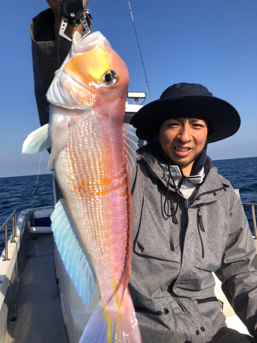 アマダイの釣果