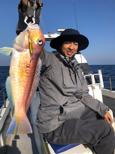 アマダイの釣果