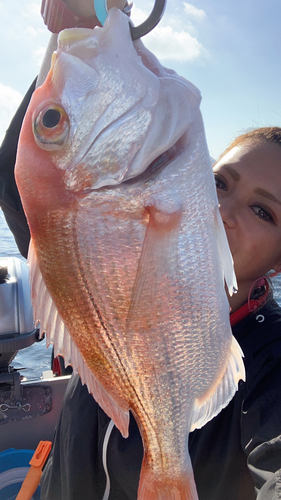 レンコダイの釣果