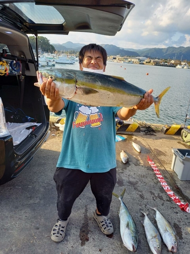 カンパチの釣果