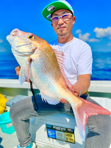 マダイの釣果