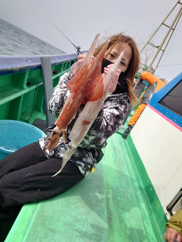 ヤリイカの釣果