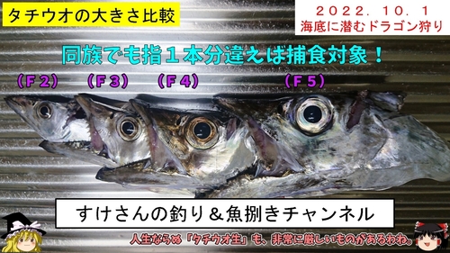 タチウオの釣果