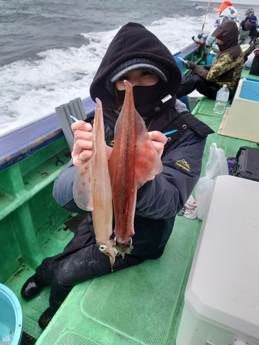 ヤリイカの釣果