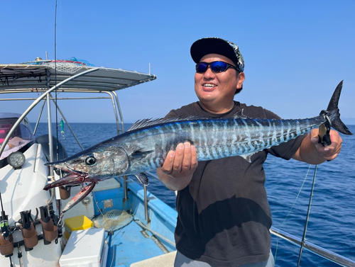 カマスサワラの釣果