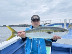 ワラサの釣果