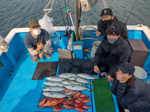 アコウの釣果