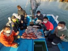 マダイの釣果