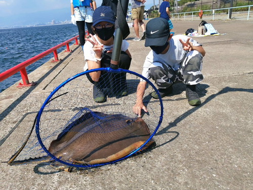 アカエイの釣果