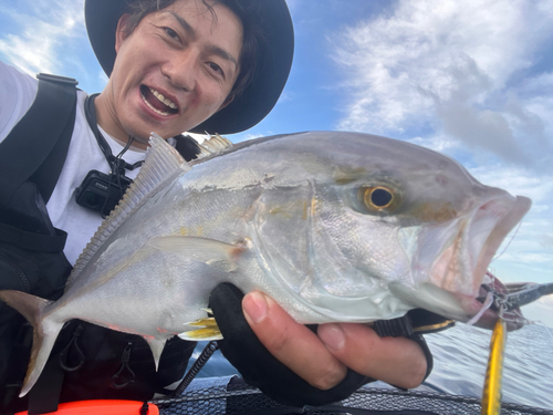 ネリゴの釣果