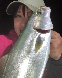 ツバスの釣果