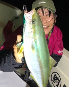 ツバスの釣果