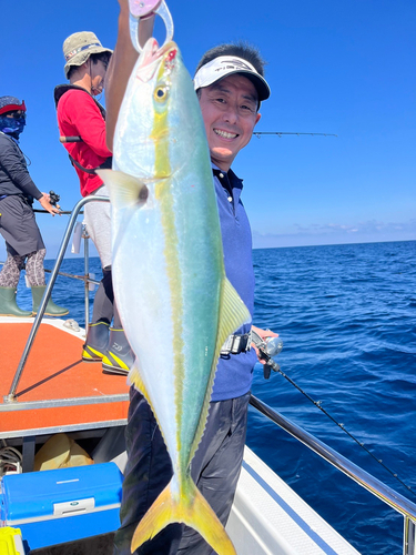 ハマチの釣果