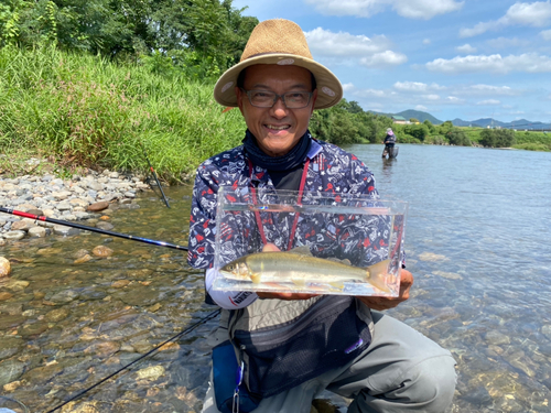 アユの釣果