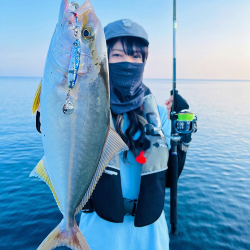 ネリゴの釣果