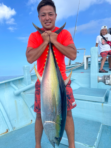 キハダマグロの釣果