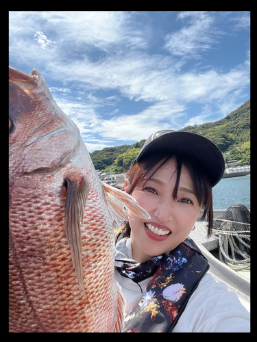 マダイの釣果