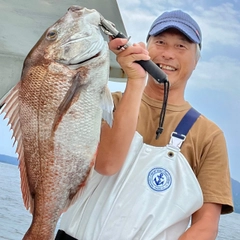 マダイの釣果