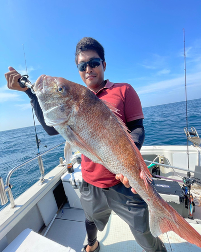 タイの釣果