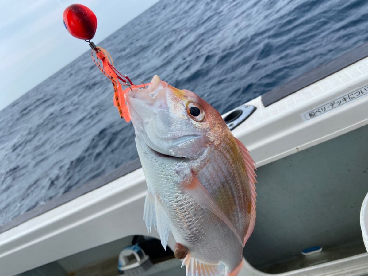 Ag_1480さんの釣果 2枚目の画像