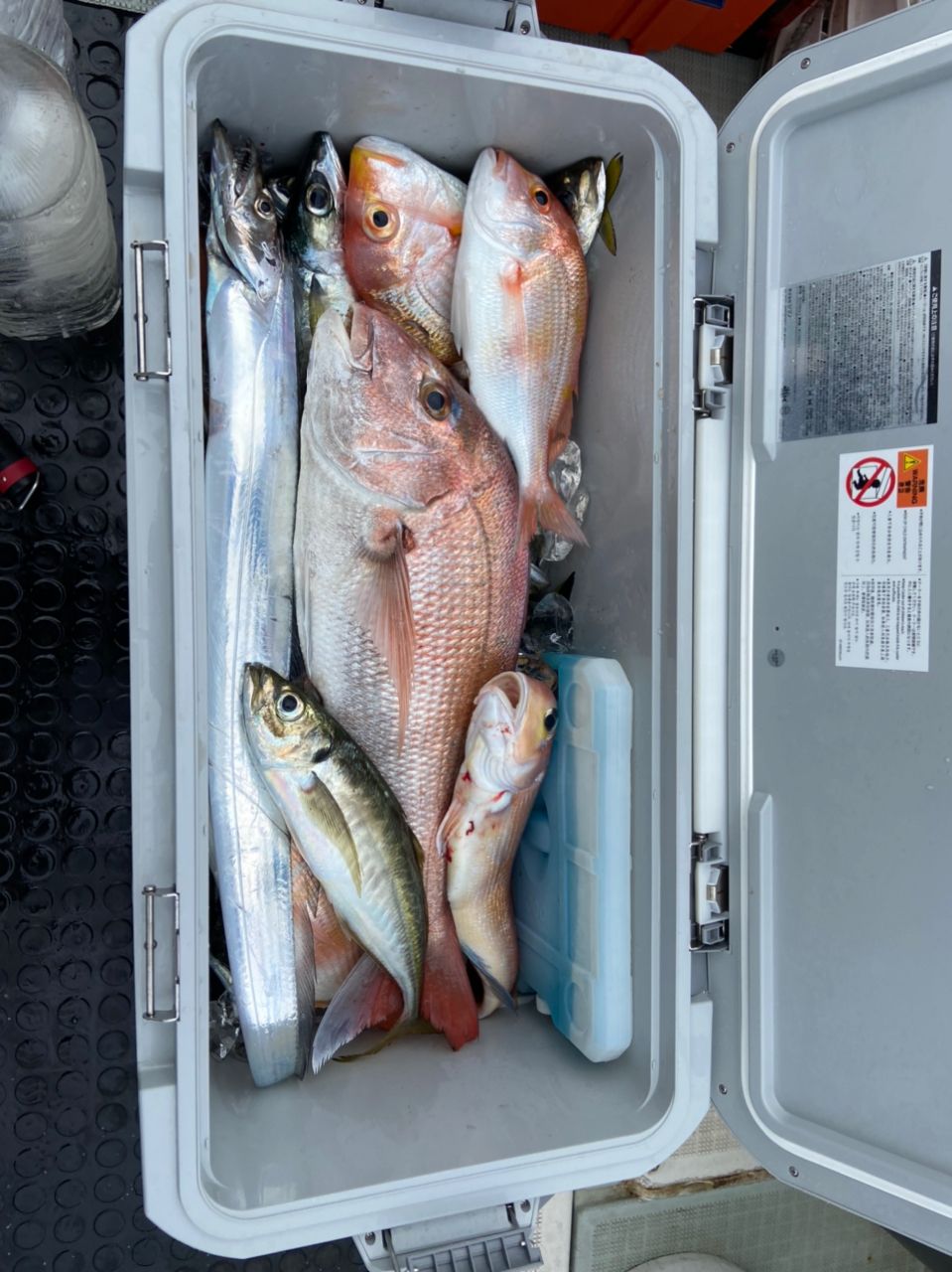 Ag_1480さんの釣果 3枚目の画像