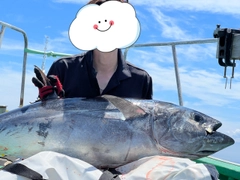 クロマグロの釣果