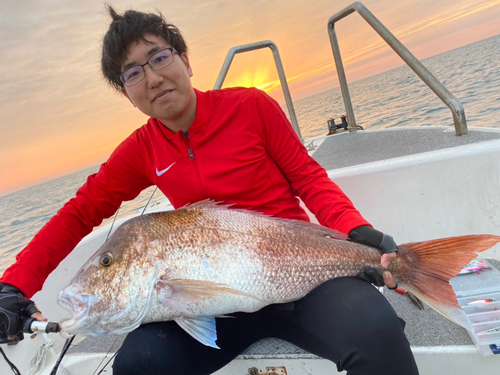 マダイの釣果