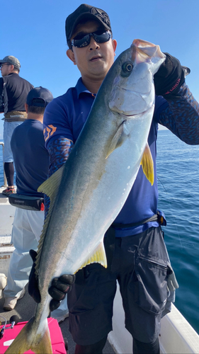 ヒラマサの釣果