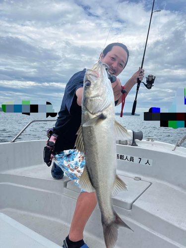 スズキの釣果