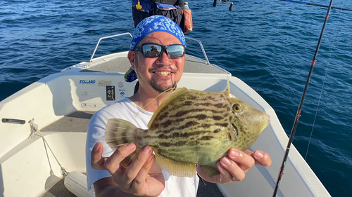 カワハギの釣果