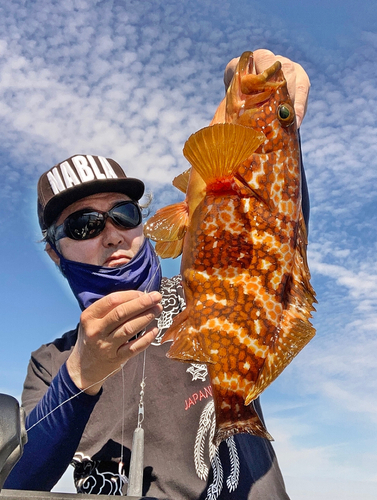 アコウの釣果