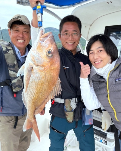 マダイの釣果