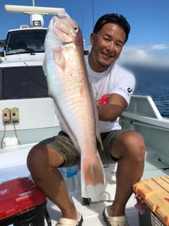 シロアマダイの釣果