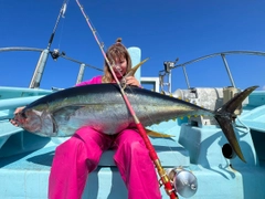 キハダマグロの釣果