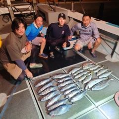 カツオの釣果
