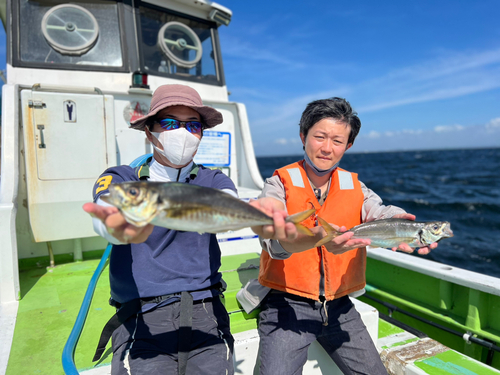 マアジの釣果