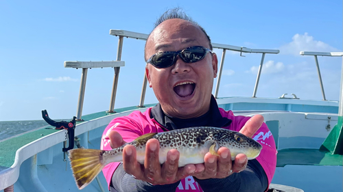 ショウサイフグの釣果