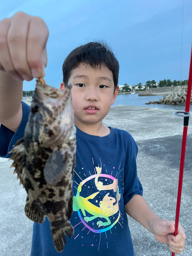 タケノコメバルの釣果