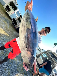 カツオの釣果