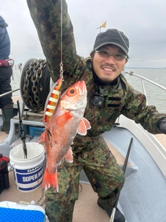 アカムツの釣果