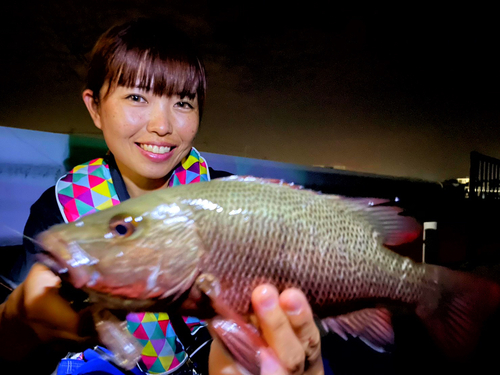 ゴマフエダイの釣果