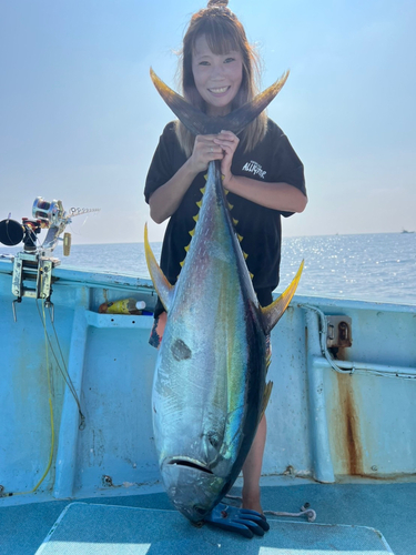 キハダマグロの釣果